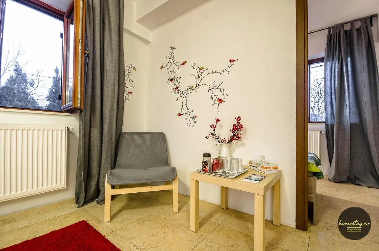 Homestay Otopeni Apartament